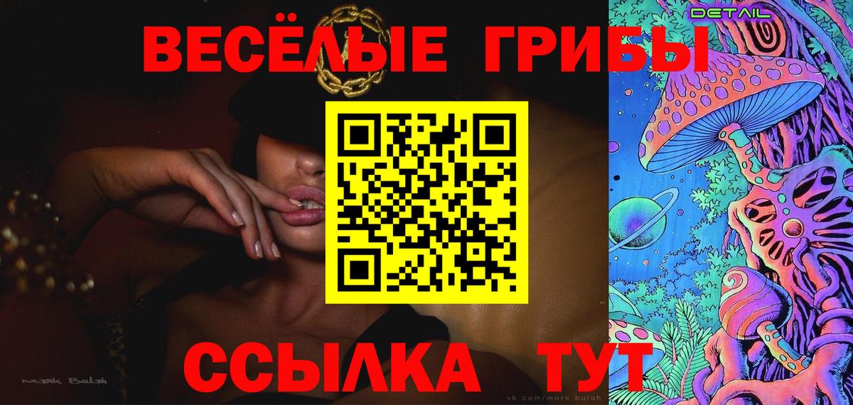 Михайловск  Галлюциногенные грибы ЛСД  закладка  Вход с VPN 